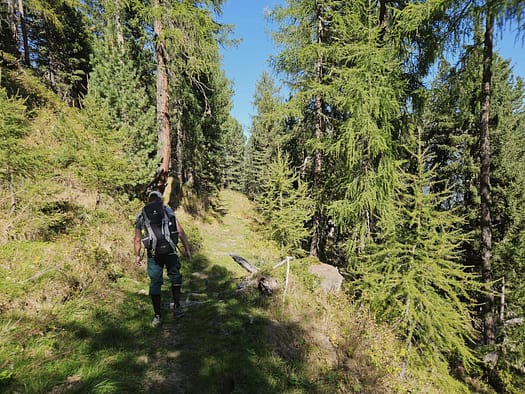 Innerberger Felderkogel 2.832 m & Felderkogel 2.770 m (Bergtour) Innerberger Felderkogel 2.832 m Felderkogel 2.770 m Bergtour 30