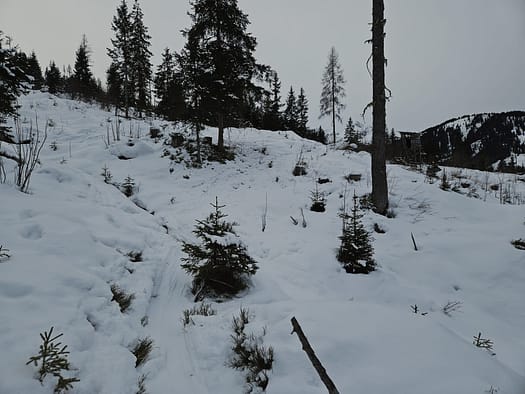 Bergstation Plattenkogel X Press 2 2.039 m Skitour 2