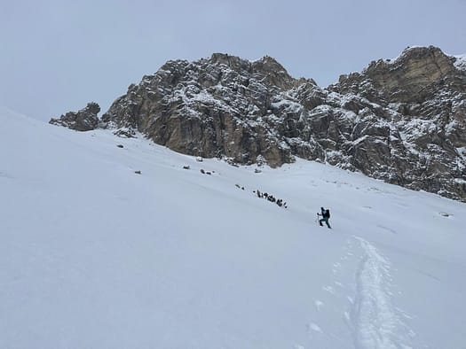 Hochfeld Sattel 2.290 m Steinkarspitze 2.287 m Skitour 3