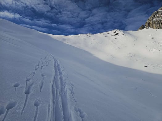 Geiskopf 2.277 m & Freikopf 2.170 m (Skitour) Geiskopf 2.277 m Freikopf 2.170 m Skitour 6