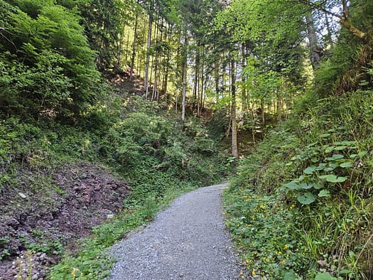 Großer Pölven 1.595 m (Wanderung) Grosser Poelven 1.595 m Wanderung 1