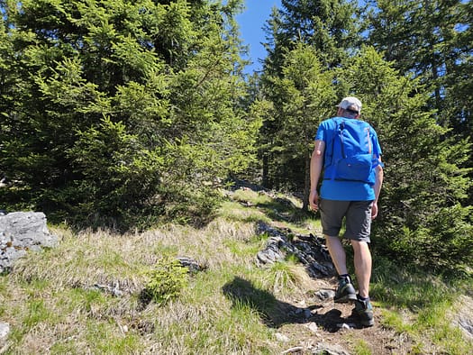 Großer Pölven 1.595 m (Wanderung) Grosser Poelven 1.595 m Wanderung 10