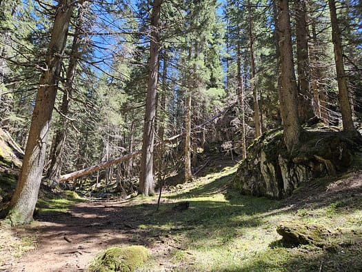 Großer Pölven 1.595 m (Wanderung) Grosser Poelven 1.595 m Wanderung 12