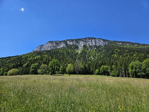 Großer Pölven 1.595 m (Wanderung) Grosser Poelven 1.595 m Wanderung 16