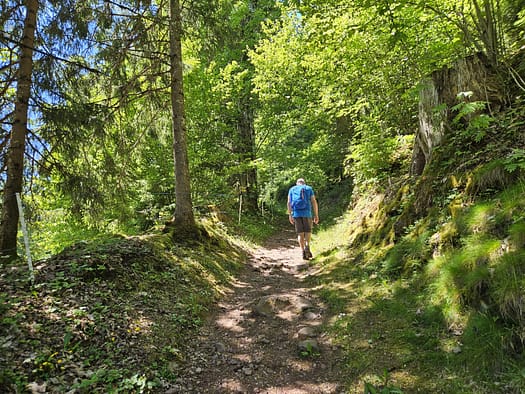 Großer Pölven 1.595 m (Wanderung) Grosser Poelven 1.595 m Wanderung 19
