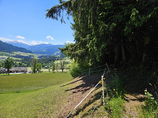 Großer Pölven 1.595 m (Wanderung) Grosser Poelven 1.595 m Wanderung 22