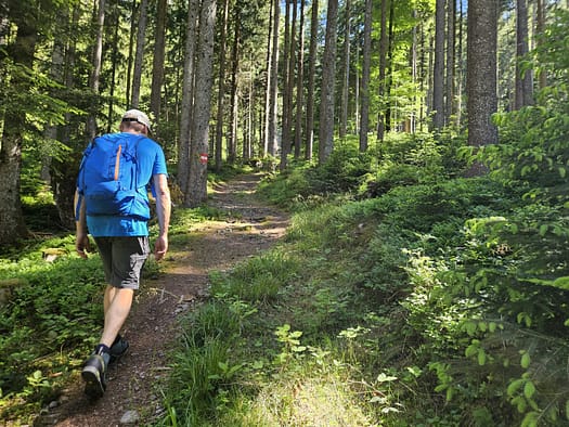 Großer Pölven 1.595 m (Wanderung) Grosser Poelven 1.595 m Wanderung 4