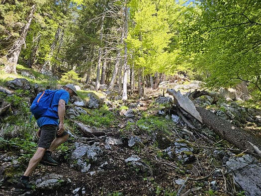Großer Pölven 1.595 m (Wanderung) Grosser Poelven 1.595 m Wanderung 5