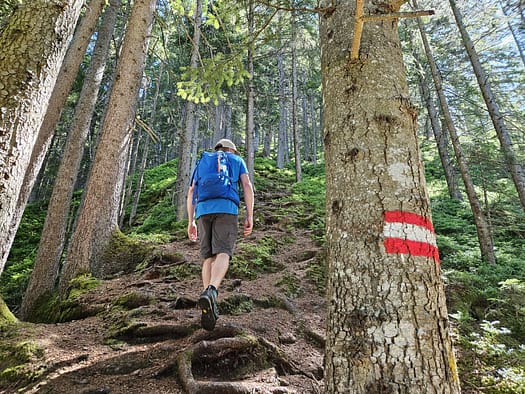 Großer Pölven 1.595 m (Wanderung) Grosser Poelven 1.595 m Wanderung 6