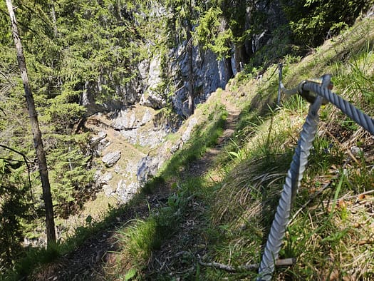 Großer Pölven 1.595 m (Wanderung) Grosser Poelven 1.595 m Wanderung 9
