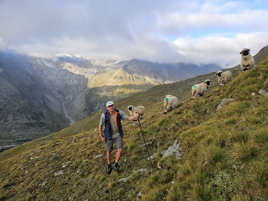 Ochsner 3.107 m, Hennsteigenspitze 3.002 m (Bergtour) Ochsner 3.107 m Hennsteigenspitze 3.002 m Bergtour 33