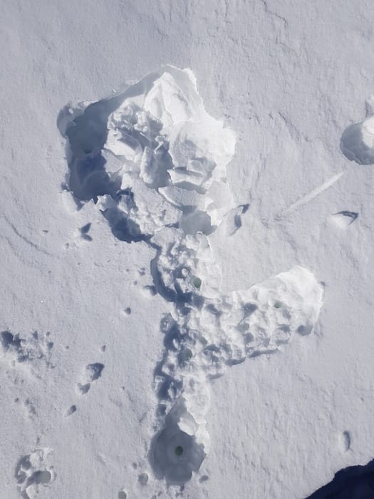 Hauslabkogel 3.402 m (Skitour) Hauslabkogel 3.402 m Skitour 23