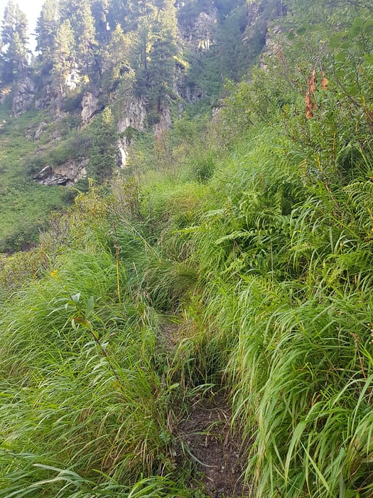 Gaulspitze 2.411 m (Wanderung) Gaulspitze 2.411 m Wanderung 17