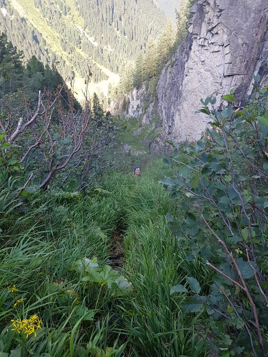 Gaulspitze 2.411 m (Wanderung) Gaulspitze 2.411 m Wanderung 19