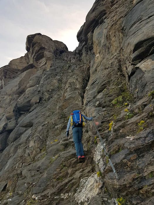 Großes Wiesbachhorn 3.564 m, Hinterer Bratschenkopf 3.413 m, Klockerin 3.422 m, Hohe Dock 3.348 m, Großer Bärenkopf 3.396 m, Mittlerer Bärenkopf 3.351 m (Hochtour) Grosses Wiesbachhorn 3.564 m 13