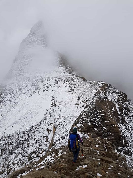 Großes Wiesbachhorn 3.564 m, Hinterer Bratschenkopf 3.413 m, Klockerin 3.422 m, Hohe Dock 3.348 m, Großer Bärenkopf 3.396 m, Mittlerer Bärenkopf 3.351 m (Hochtour) Hohe Dock 3.348 m 15