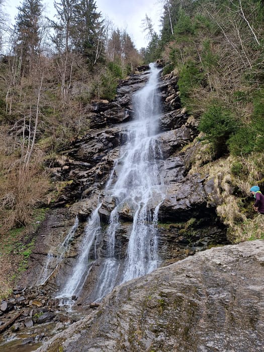 Vogellehrpfad & Schleierwasserfall (Themenwanderweg) Vogellehrpfad Schleierwasserfall Themenwanderweg 15
