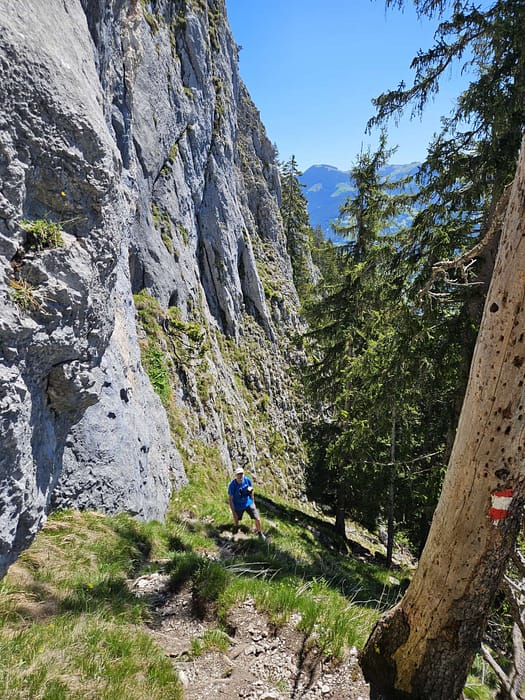 Großer Pölven 1.595 m (Wanderung) Grosser Poelven 1.595 m Wanderung 7