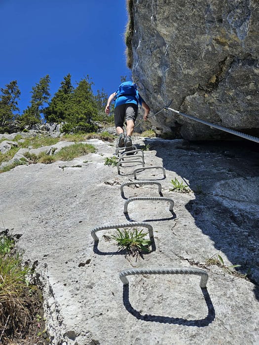 Großer Pölven 1.595 m (Wanderung) Grosser Poelven 1.595 m Wanderung 8