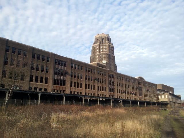 Buffalo