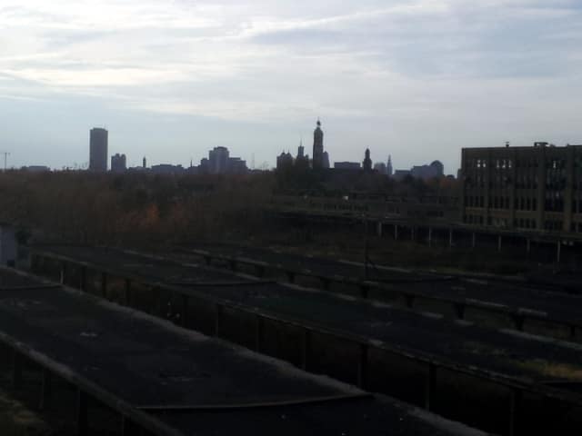 Buffalo