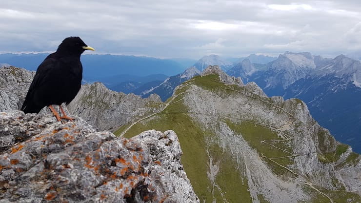 Westliche Karwendelspitze 2.385 m (Wanderung) Westliche Karwendelspitze