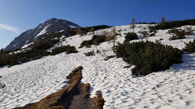 Schneibstein 2.239 m (Wanderung) Schneibstein 3