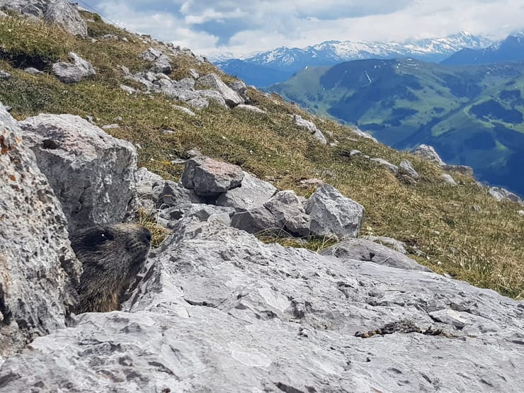 Sommerstein 2.308 m (Wanderung) Sommerstein 4