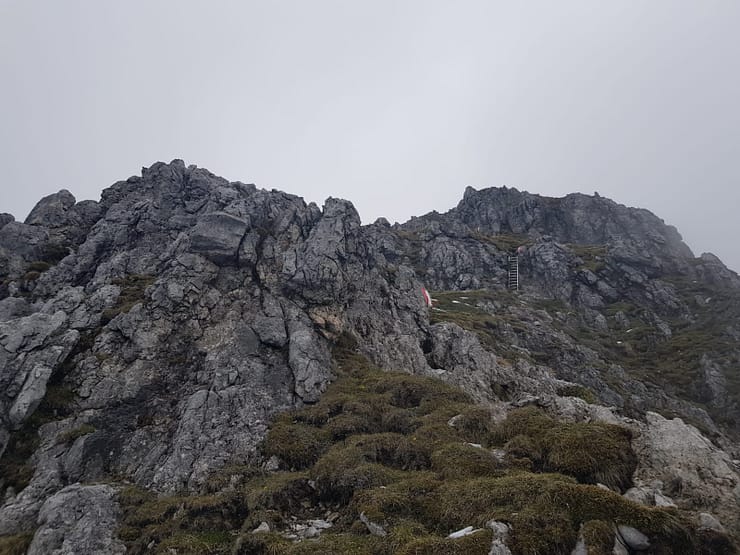 Taghaube 2.159 m (Wanderung) Taghaube 3