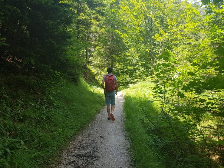 Königsstand 1.453 m (Wanderung) Königsstand 6