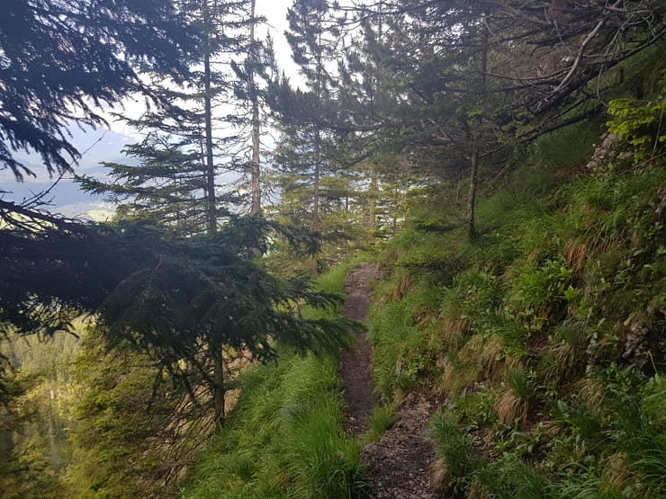 Schöttelkarspitze 2.050 m (Wanderung) Schöttelkarspitze 15
