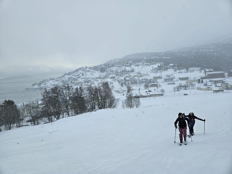 Lyngseidet Langvatnet See 585 m (Skitour) Lyngseidet Langvatnet See 585 m Skitour 1