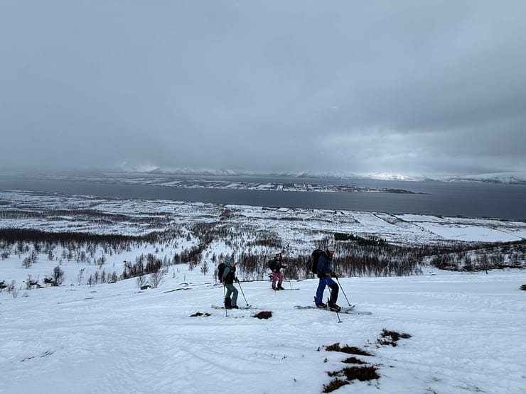 Stetinden 918 m (Skitour) - Versuch Stetinden 918 m Skitour Versuch 12 scaled