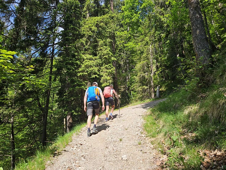 Plessenberg 1.743 m Überschreitung (Bergtour) Plessenberg 1.743 m Ueberschreitung Bergtour 1