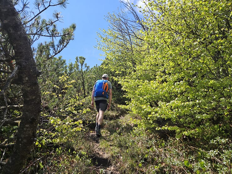 Plessenberg 1.743 m Überschreitung (Bergtour) Plessenberg 1.743 m Ueberschreitung Bergtour 13