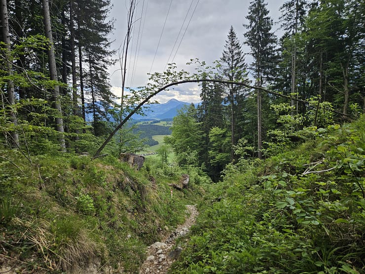 Plessenberg 1.743 m Überschreitung (Bergtour) Plessenberg 1.743 m Ueberschreitung Bergtour 26