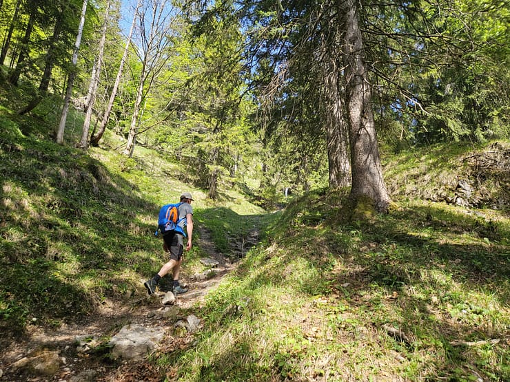 Plessenberg 1.743 m Überschreitung (Bergtour) Plessenberg 1.743 m Ueberschreitung Bergtour 4