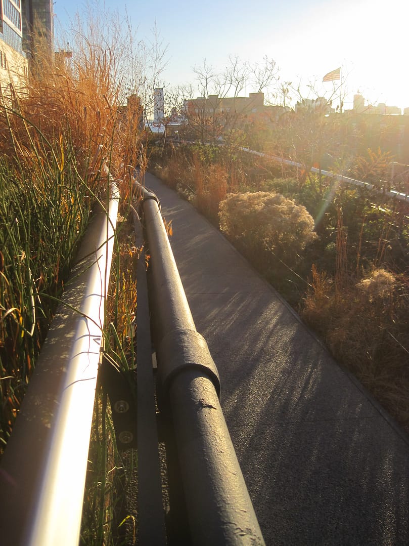 New York High Line