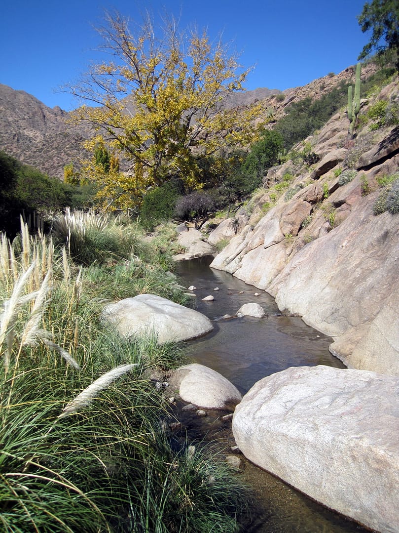 Cafayate