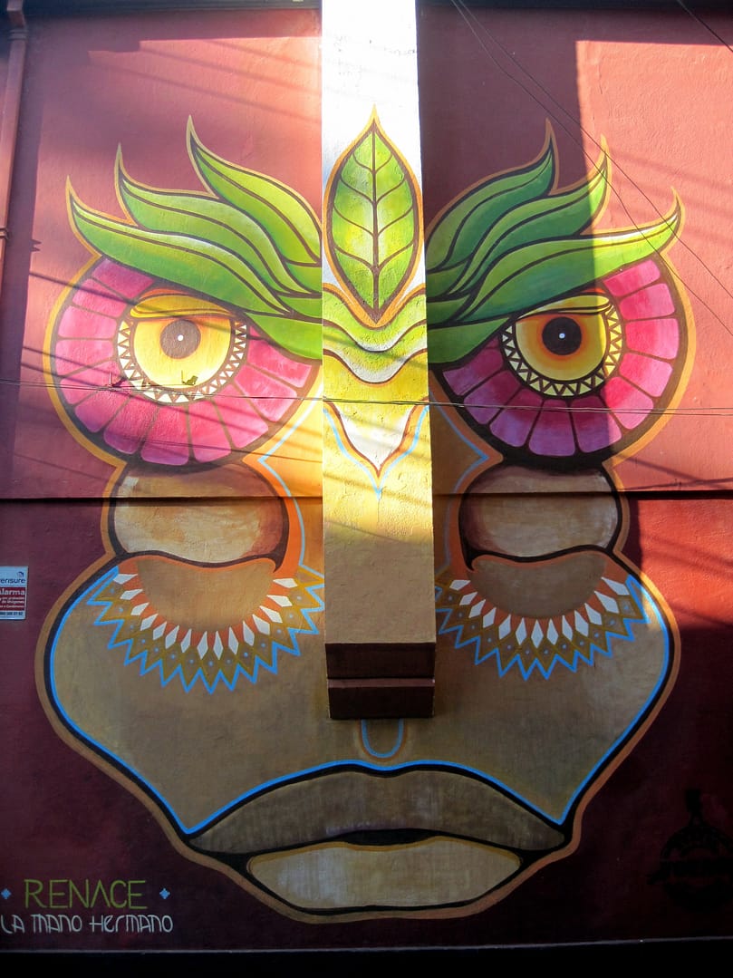 Valparaiso Graffiti
