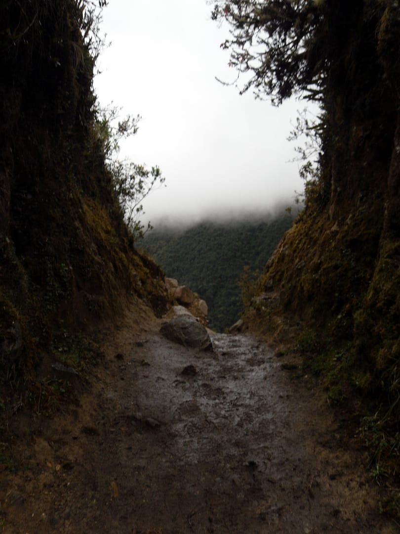 Salkantay Trek