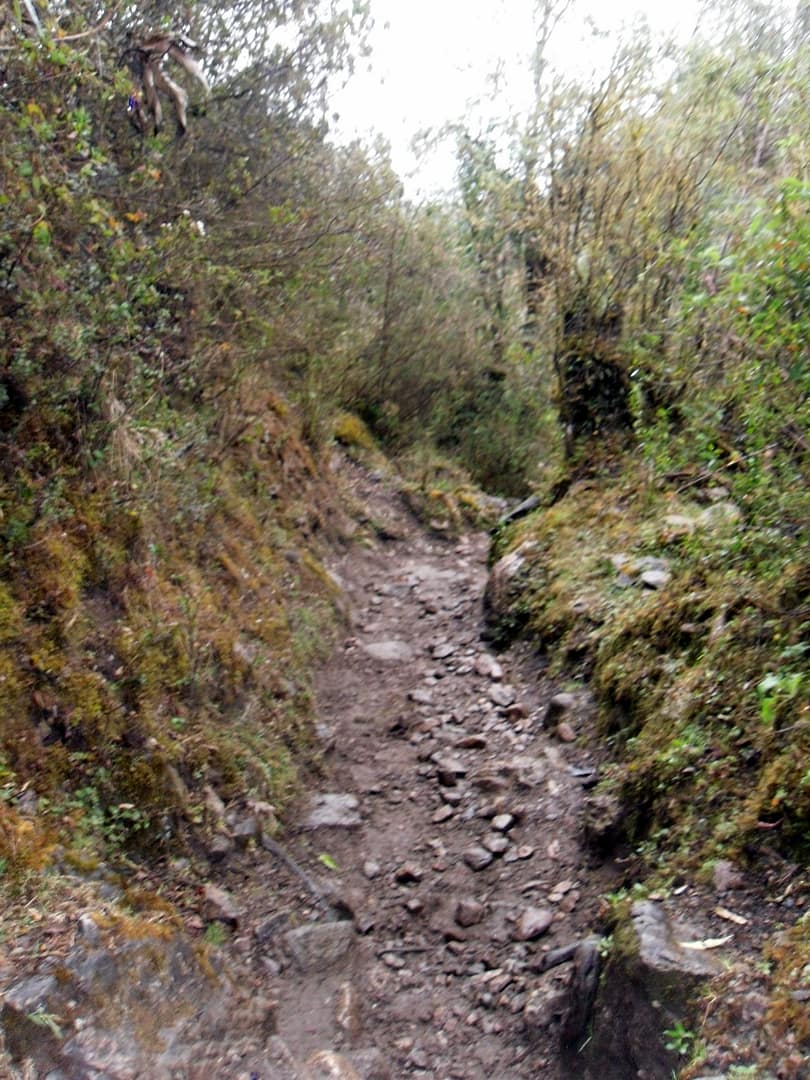 Salkantay Trek