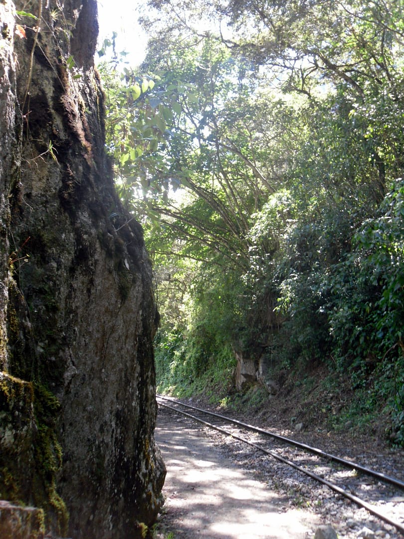 Salkantay Trek