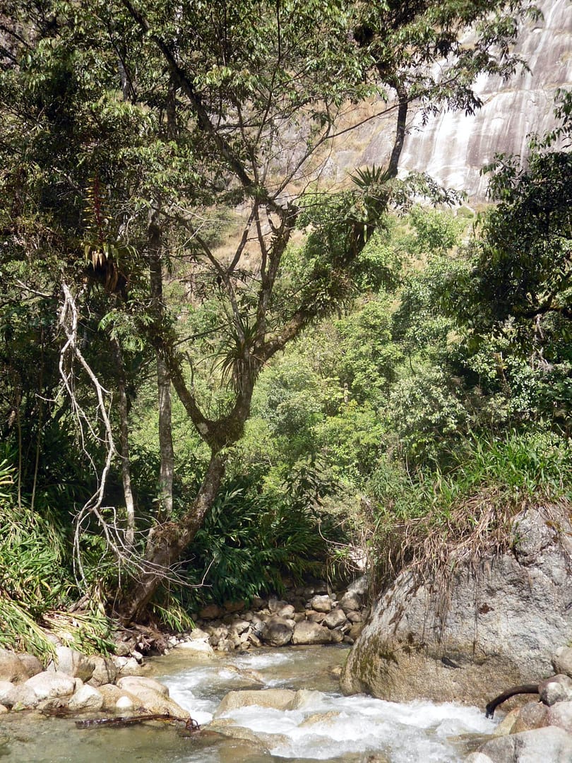 Salkantay Trek