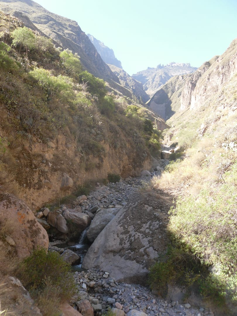 Colca canyon