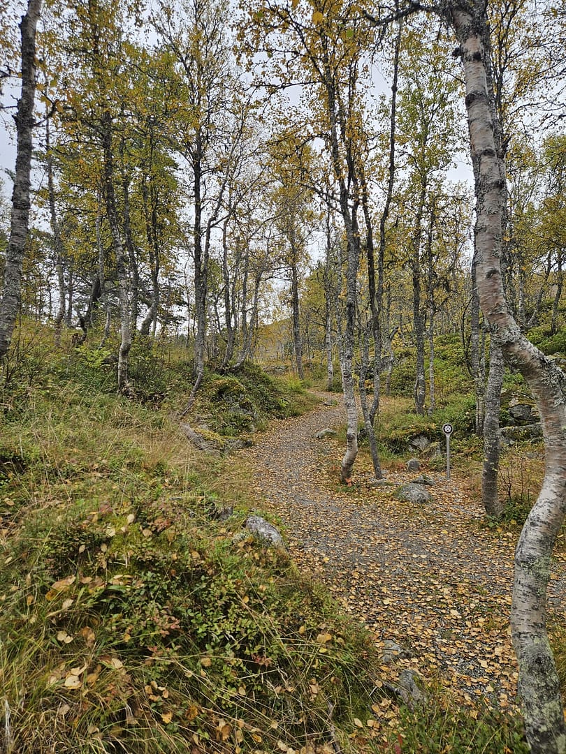 Vøringsfossen - oberer Aussichtsweg (Wanderung) Voringsfossen oberer Aussichts Rundweg Wanderung 10