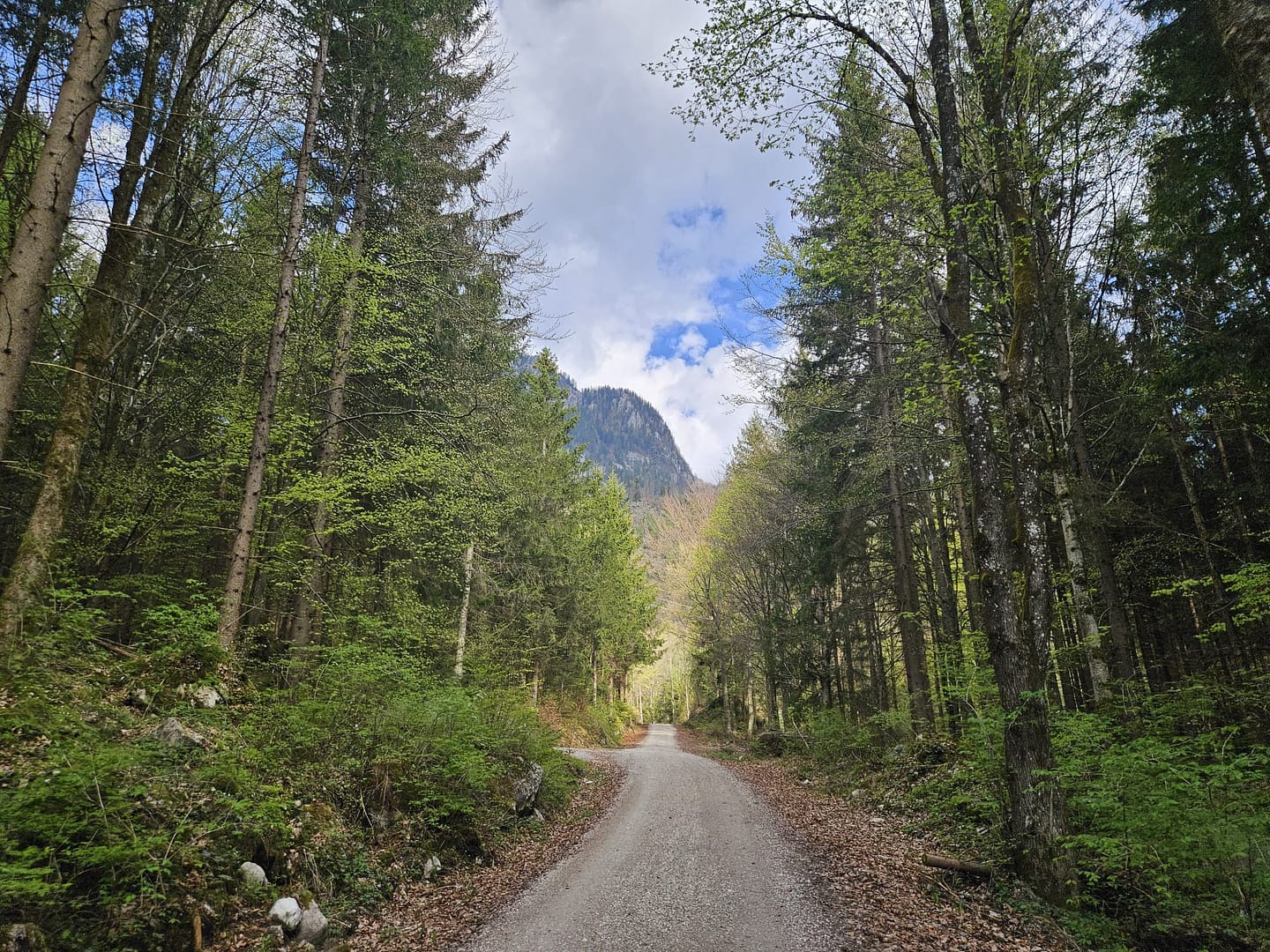 Pletzachkogel 1.544 (Wanderung) Pletzachkogel 1.544 Wanderung 10