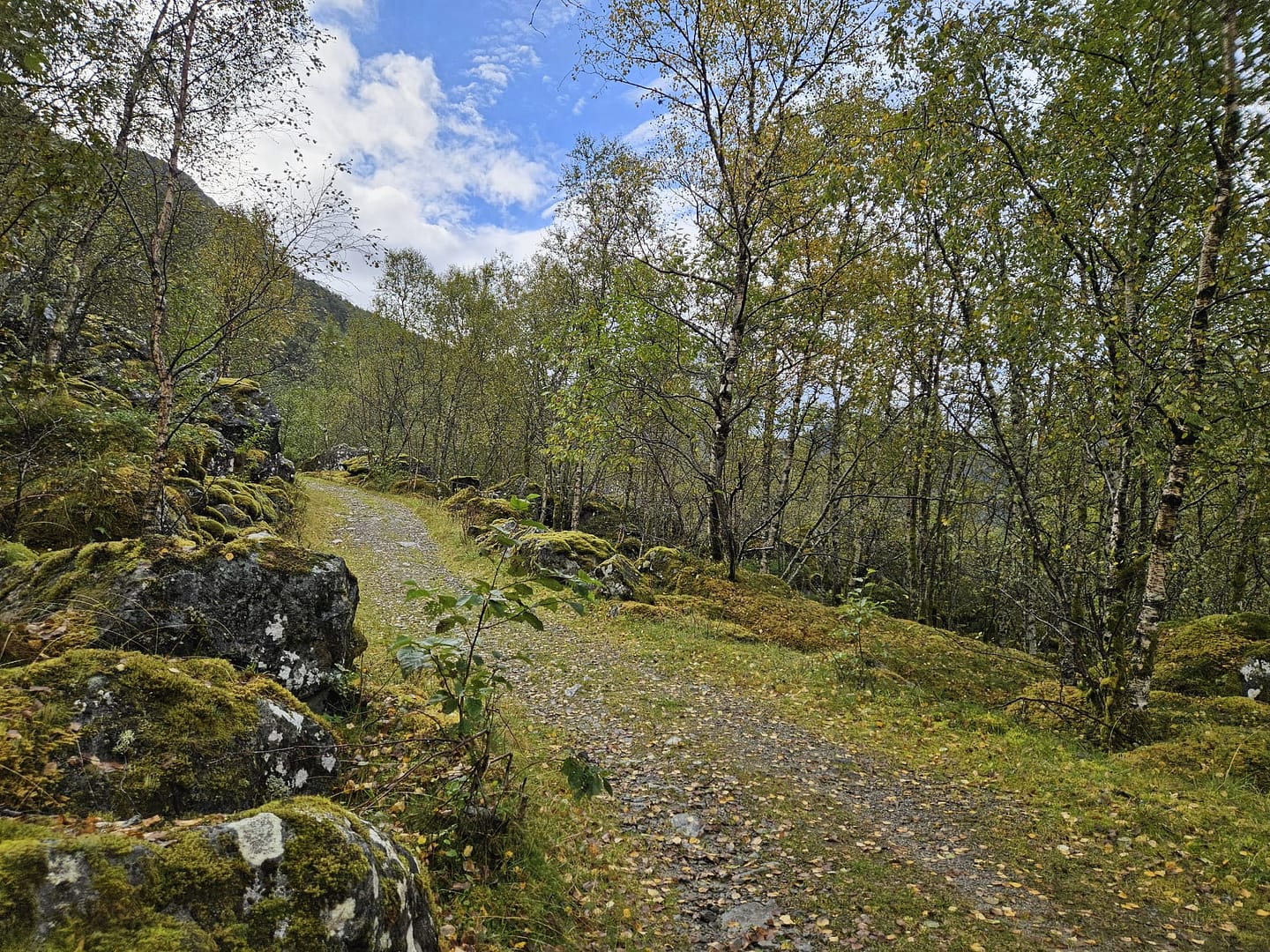 Bondhusdalen (Wanderung) WhatsApp Image 2026 10 14 at 08.46.18 7