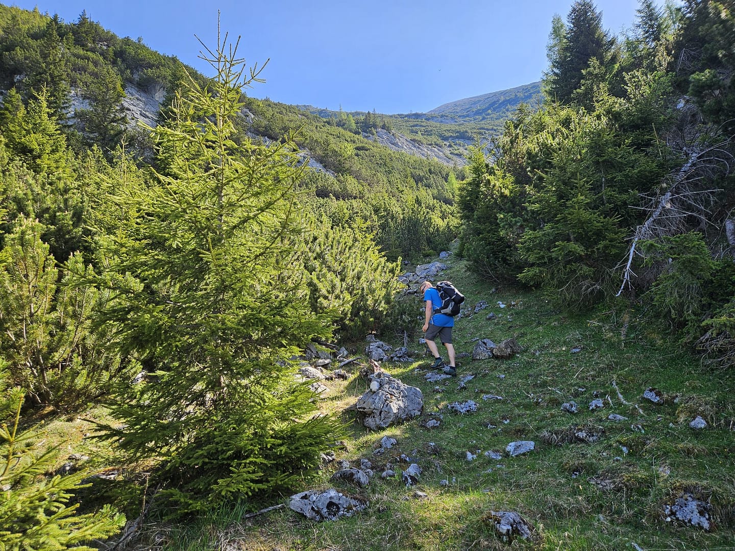 Hoher Gleirsch 2.492 m (Bike & Bergtour) Hoher Gleirsch 2.492 m Bike Bergtour 5