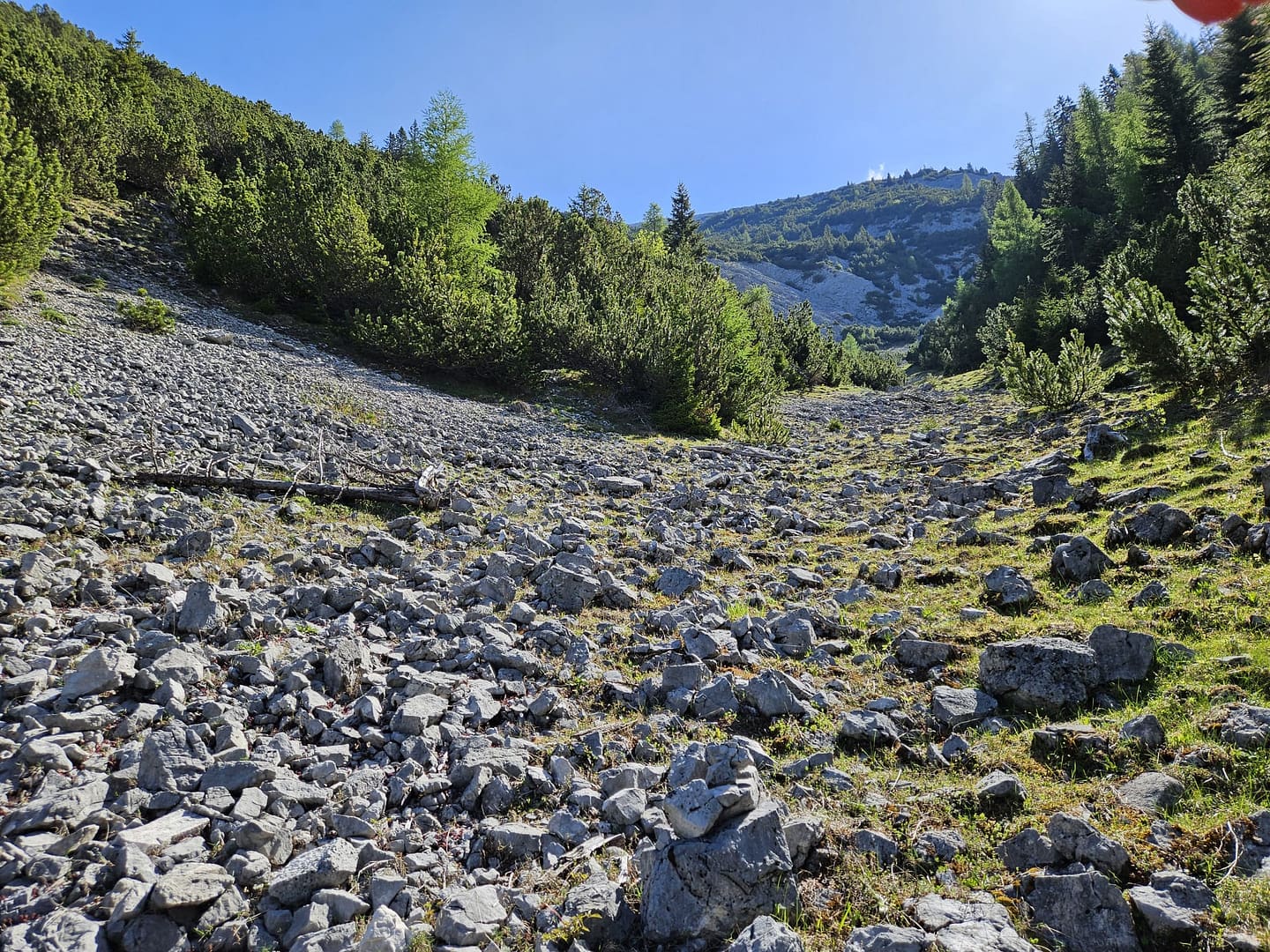 Hoher Gleirsch 2.492 m (Bike & Bergtour) Hoher Gleirsch 2.492 m Bike Bergtour 6